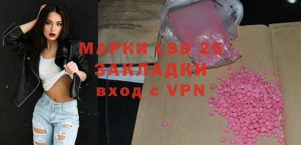 эйфоретик Бородино