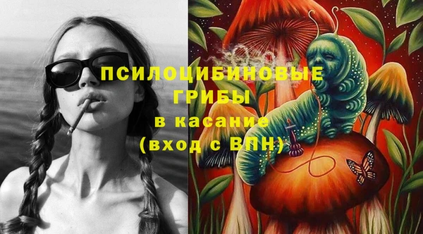 эйфоретик Бородино