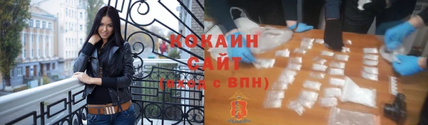 винт Верея