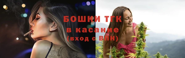 эйфоретик Бородино