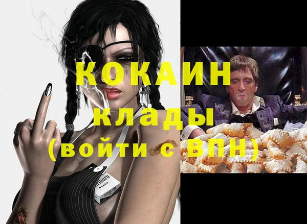 гидра Кизел