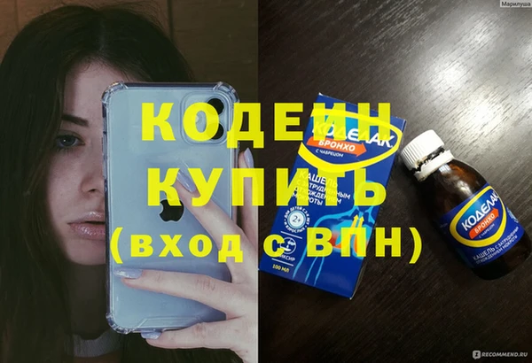 эйфоретик Бородино