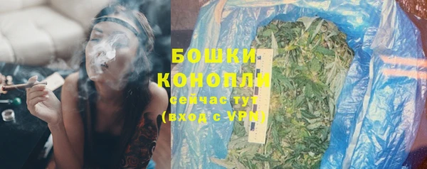 эйфоретик Бородино