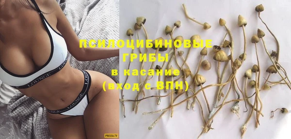 бошки Верхний Тагил