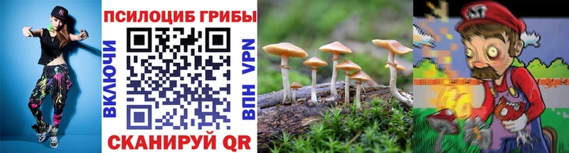 ссылка на мегу ссылки  сколько стоит  Новошахтинск  Псилоцибиновые грибы GOLDEN TEACHER 