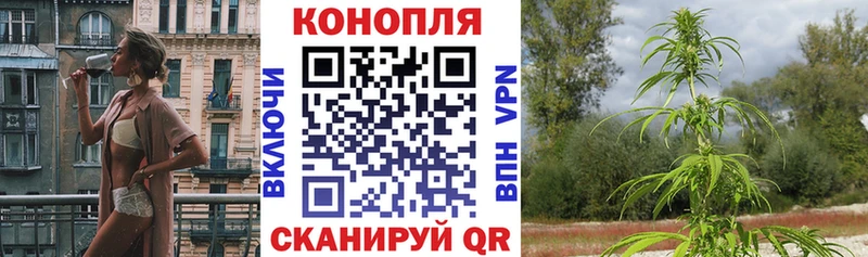 OMG зеркало  купить наркотик  Новошахтинск  Марихуана VHQ 